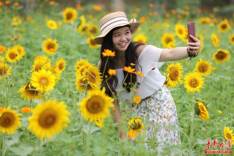 游客花海自拍