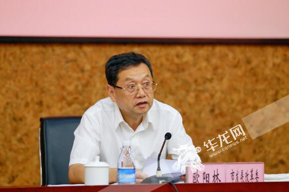 市发展改革委副主任欧阳林讲话.记者 李裕锟 摄