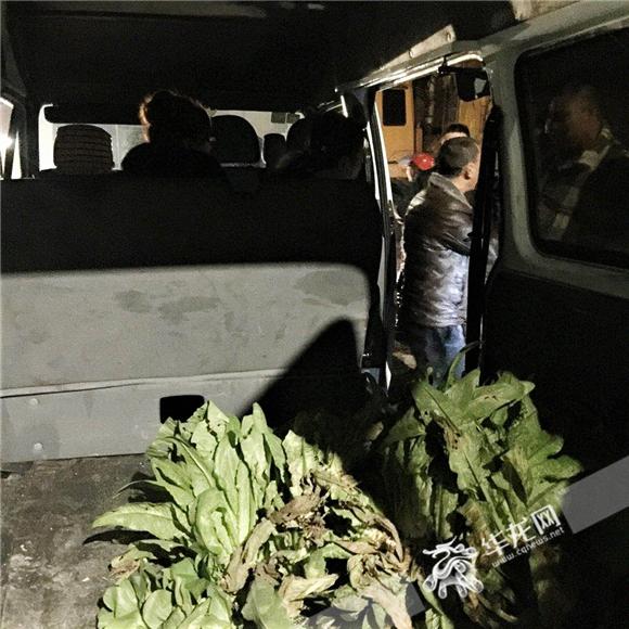 偷菜不算偷?两姐妹图好耍上演真实版"偷菜"被抓正着