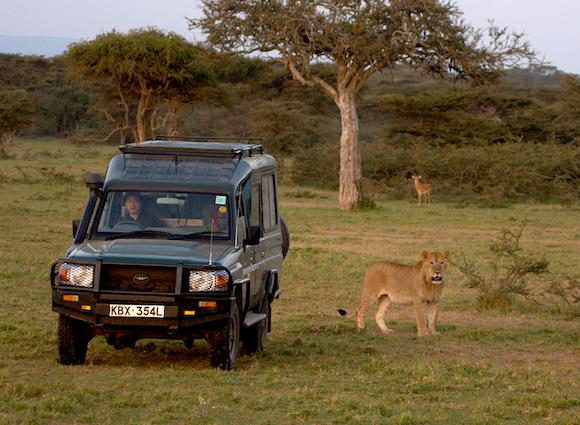 成为美剧大片主角 星巴为你讲述"狮子之心"