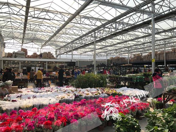 今(9)日下午,记者在江北宏帆望海花都看到,尽管新花市尚未全面