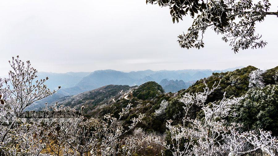 田林县岑王老山现雪景.广西新闻网通讯员 蓝庆侃 李耀斌 李春笋供图