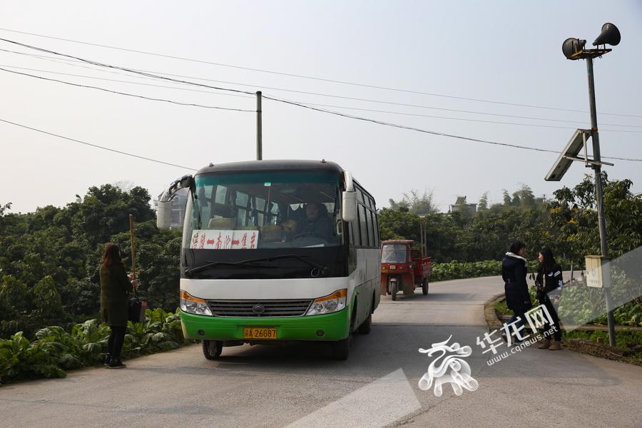 春节前,华龙网记者来到位于长江南岸涪陵下游30公里处的南沱镇睦和村