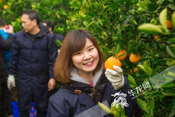 剑桥大学,相继就读本科,硕士,博士,然后进入投行工作,奉节人彭阳身上"