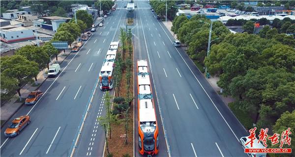 兩列智軌列車行進在株洲神農大道上.