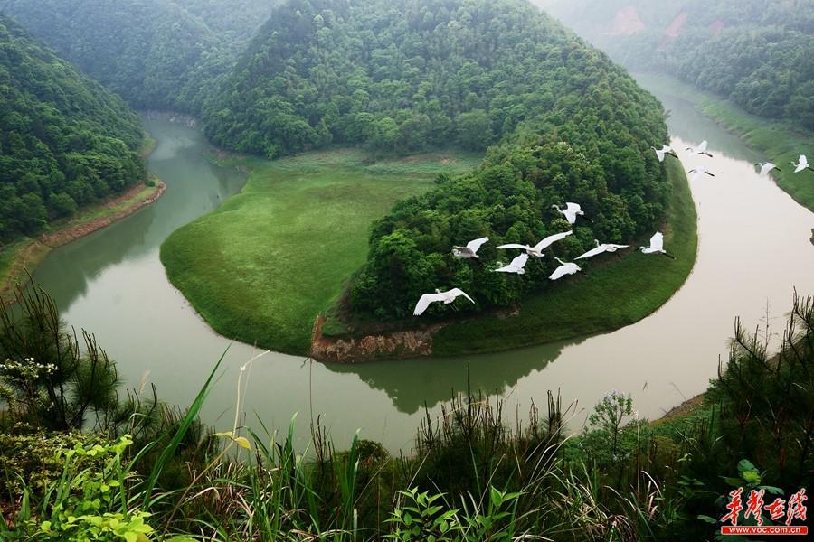 "关注湘村人居环境"系列报道④株树桥水库:从监管制度到村民观念,筑起