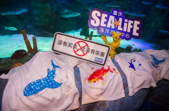 重庆海洋探索中心举办公益活动"保护海洋之尊" 呼吁拒吃鱼翅从自身