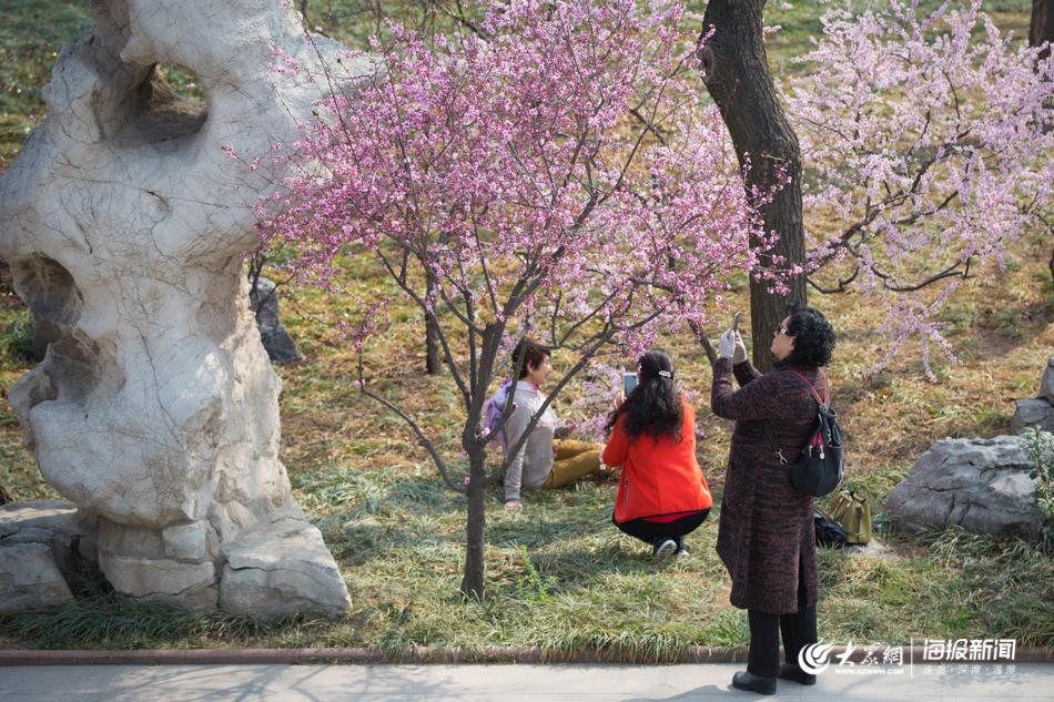 踏青赏春好时节济南泉城公园春色满园如画卷
