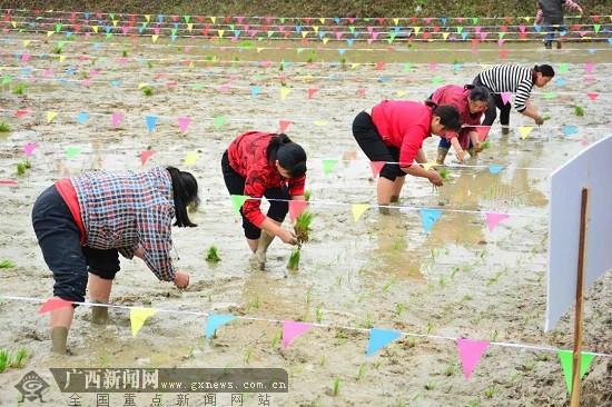 玉林市首屆“開耕節”圓滿落幕