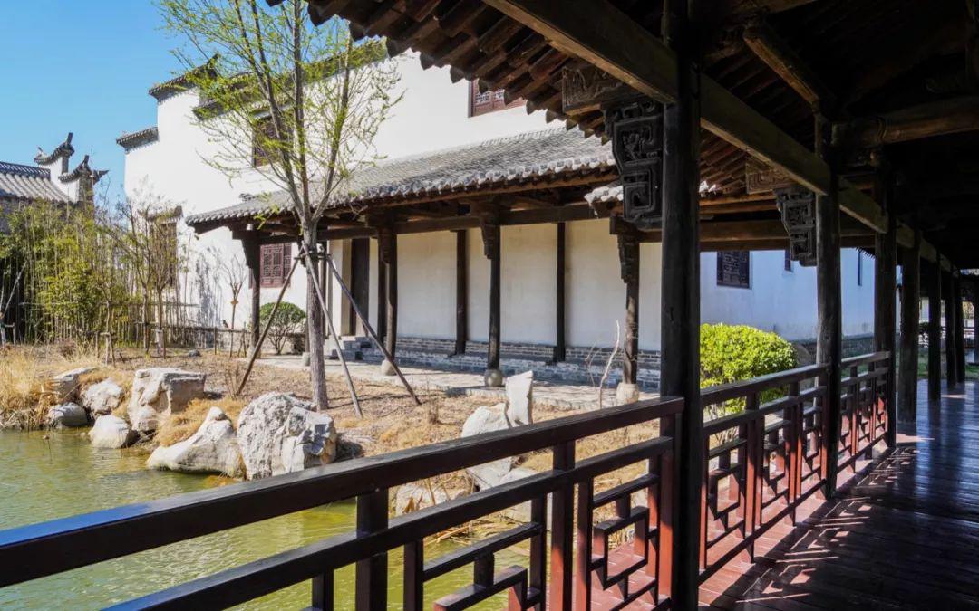 最美人间四月天院子刷爆朋友圈青岛人感慨我才知道身边藏着一处小江南