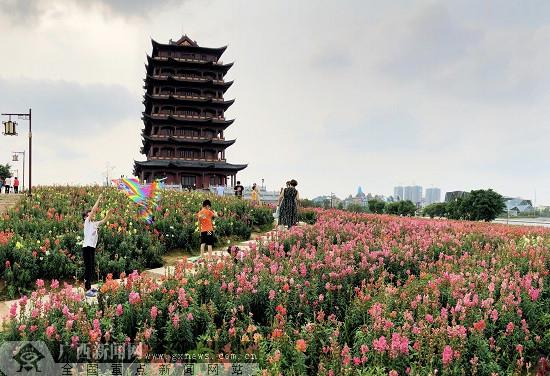 “壯族三月三”去哪兒？到玉林園博園看五彩花海