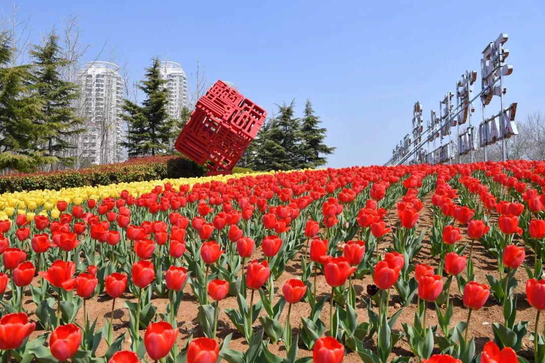 移步换景,处处入画,让山东省烟台市莱山区虞美人广场绚丽缤纷.