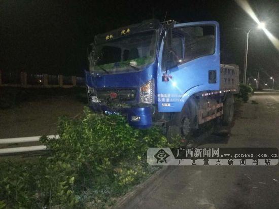 小貨車司機開車打瞌睡 路燈被"連根拔起"(組圖)