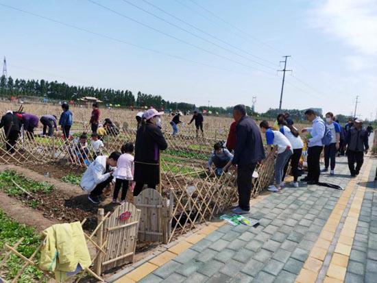"小菜园一对外开放,我就认领了一块地,种的丝瓜和油菜,今天没事过