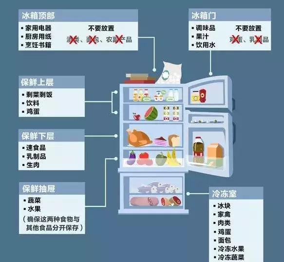 冰箱放东西怎么分类图图片