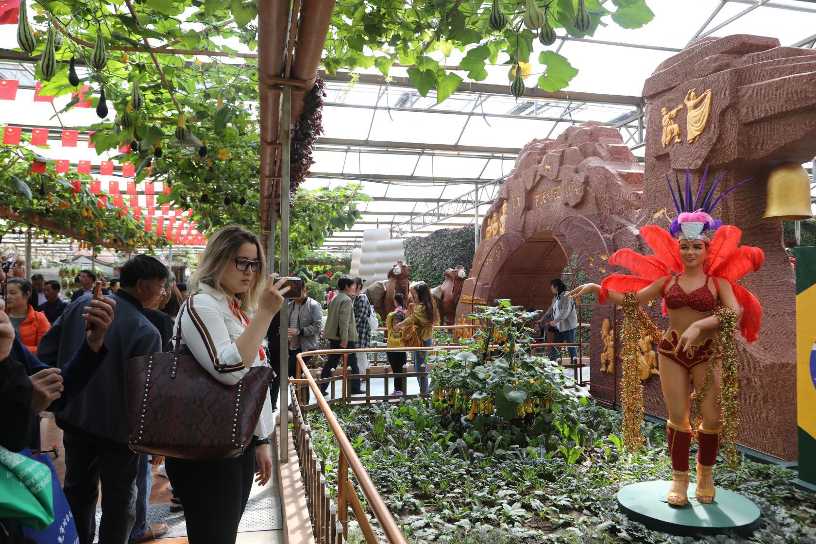 寿光菜博会彰显国际范儿12个国家和地区的400多种特色产品亮相