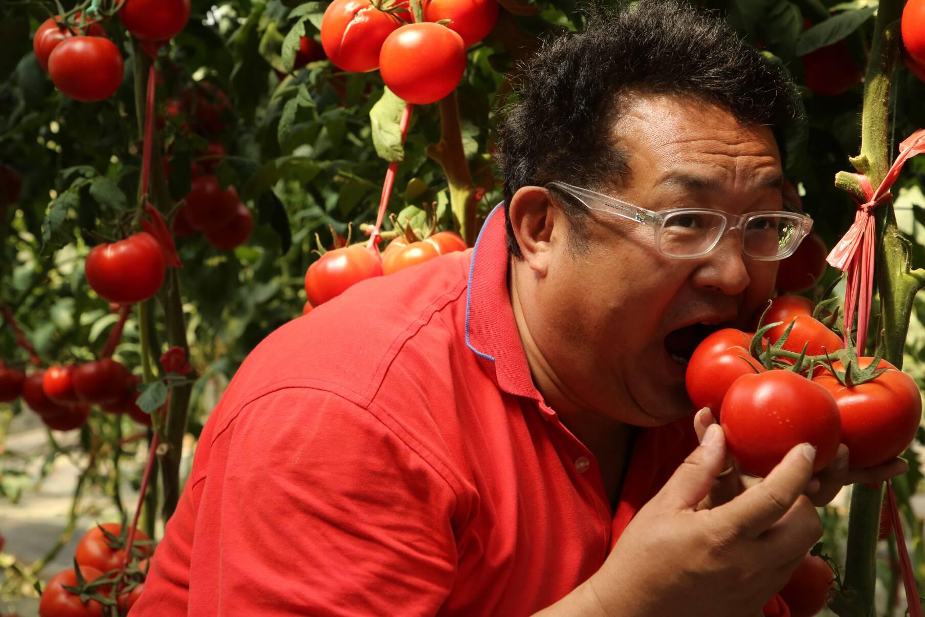 在菜博会展馆里,网络名人黄胜友与西红柿合影