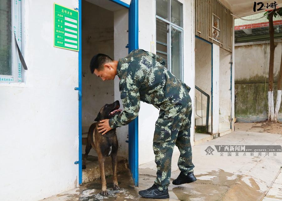 【12小時(shí)】訓(xùn)犬員不舍軍犬不言退役 曾因“戰(zhàn)友”惹女友“吃醋”