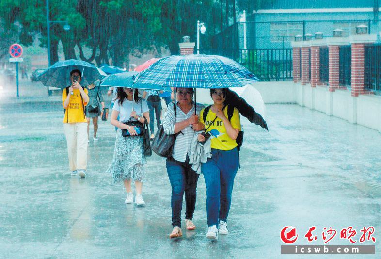 6月8日，星城迎來強降雨，市民撐傘在雨中行走。長沙晚報全媒體記者 鄒麟 攝