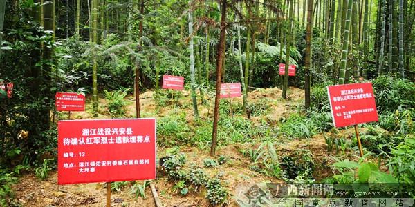 再走紅軍路 溶江徐昭英老奶奶為紅軍守墓幾十年