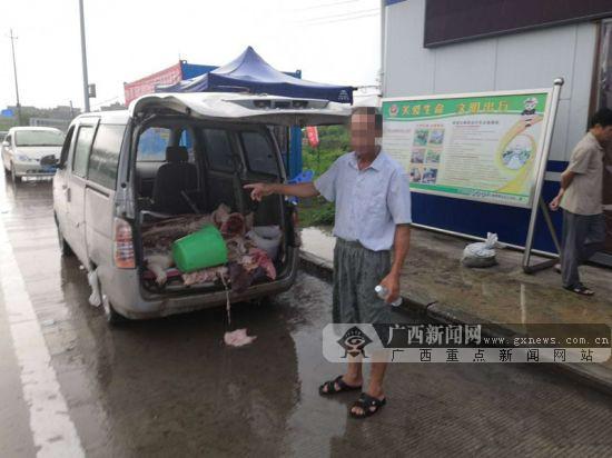 驚!欽州一司機無證駕駛 還用面包車非法運輸豬肉