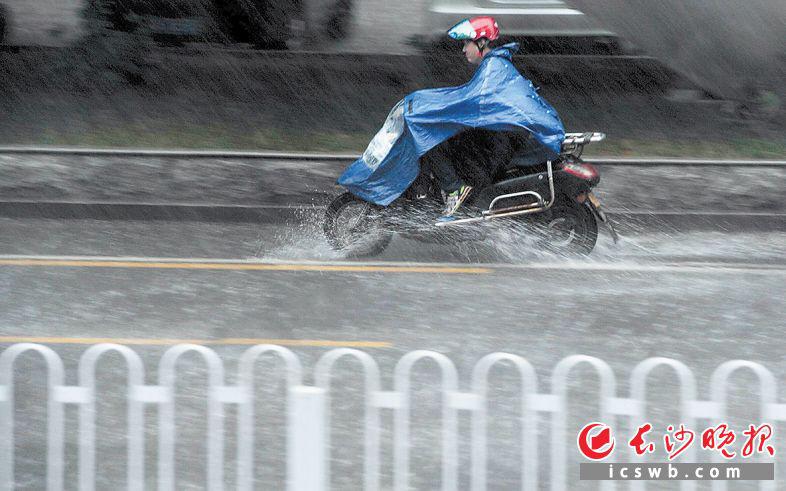 7日上午，長沙迎來持續強降雨。長沙晚報全媒體記者 余劭劼 攝