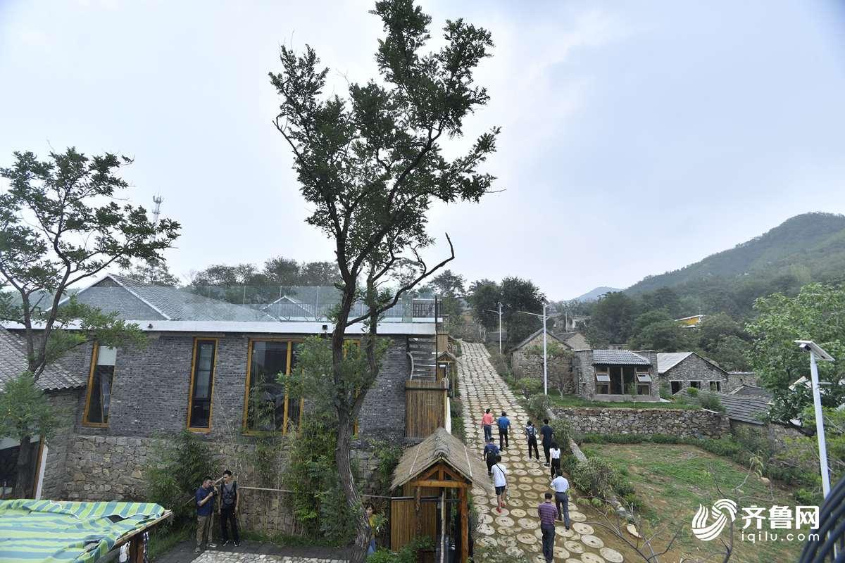 泰安八楼村"乡村振兴"的生动实践