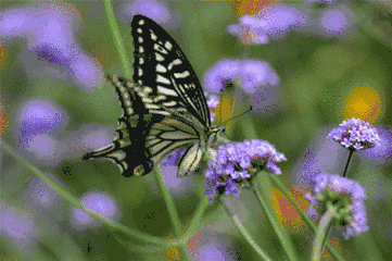 即将消失的老家 | 为了给乡亲们留下最后的念想,他从南京回到文登……