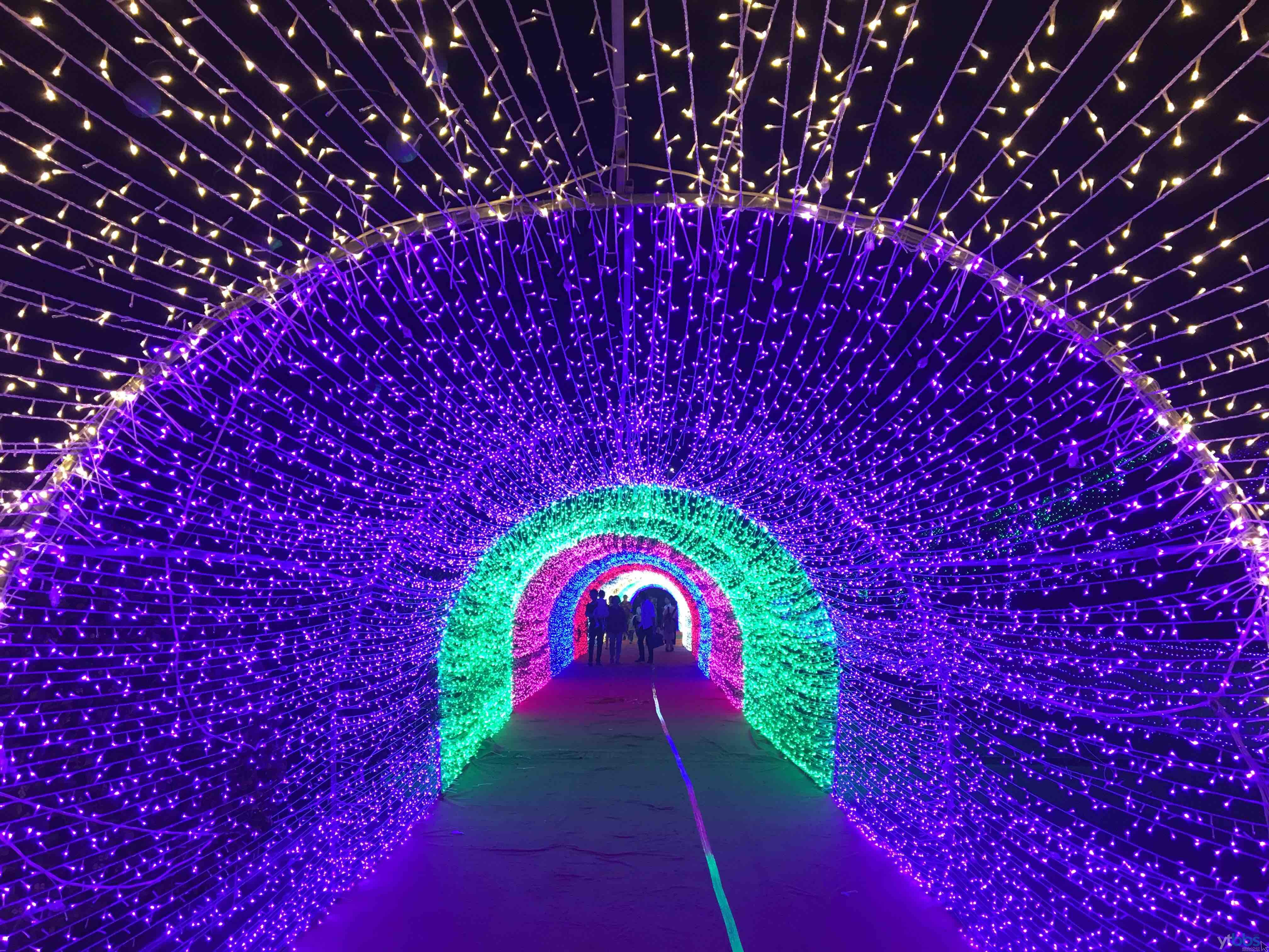 齐鲁网福利泰安天颐湖3d灯光艺术节即将开幕免费门票快来抢