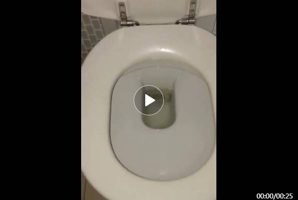 一网友用亲身经历建议大家蹲马桶前先冲一冲否则画面太震惊