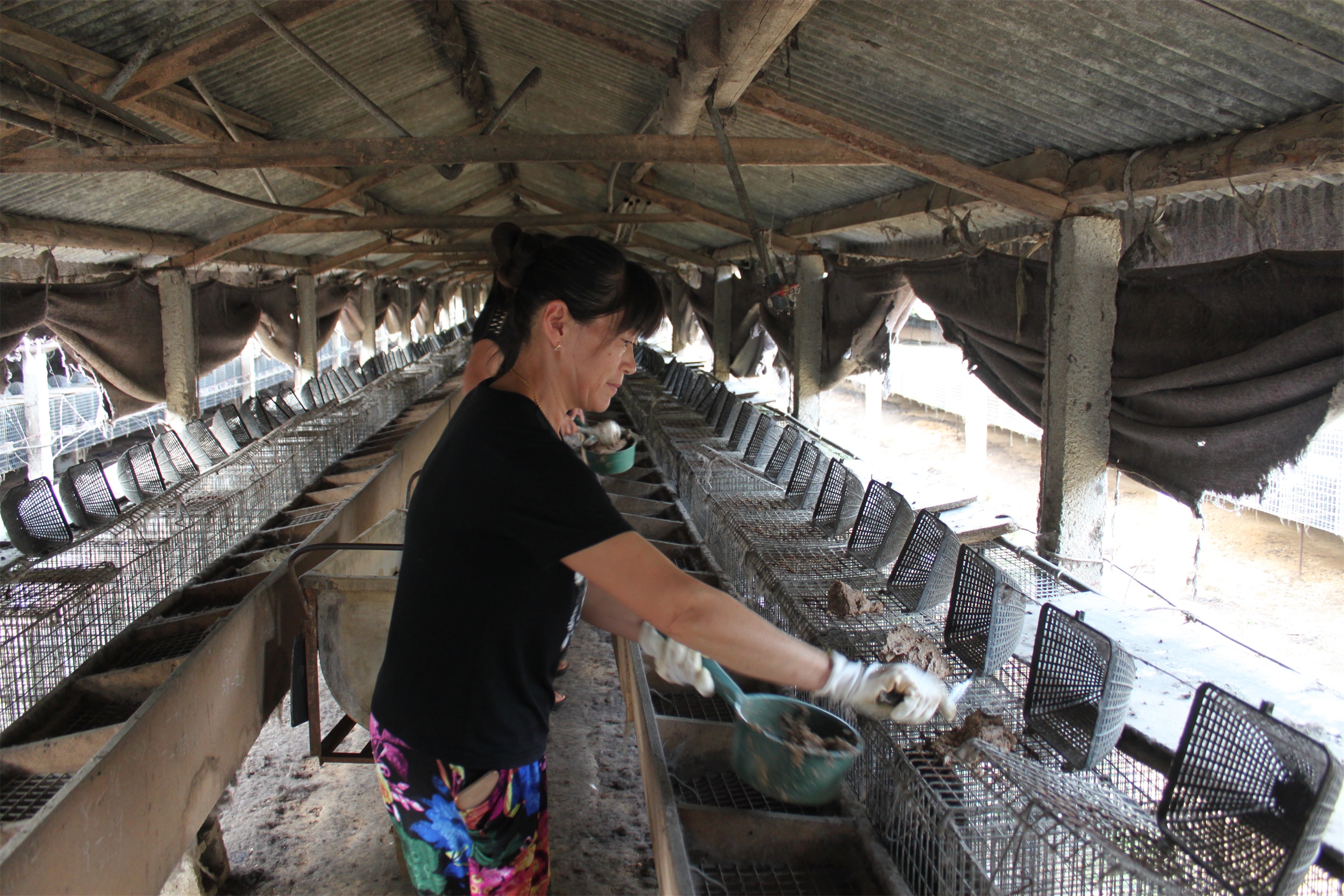 太出色原来你们是这样的文登舞姐