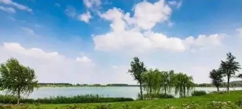 大手笔济南东部要打造白泉湿地公园规划绿地3000亩