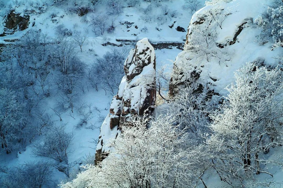 去昆嵛山邂逅一场绝美冬雪,下雪了,说到雪景,还是最爱昆嵛山"晨起开门