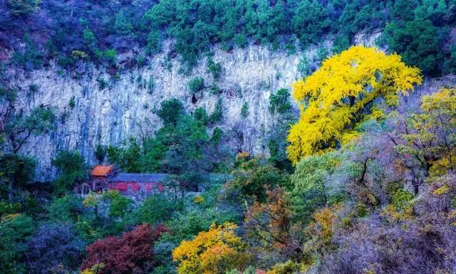 【淄博生態文化遊】綠水青山孕育美景 四大景區各有洞天