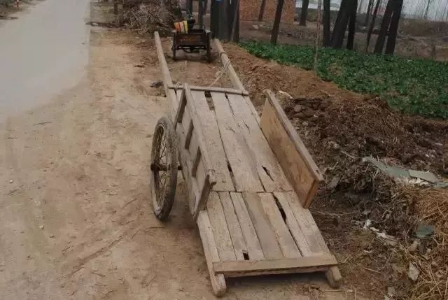 田野的小河,都结冰了,河边种的一排排的杨树,树叶都落光了,到处都是