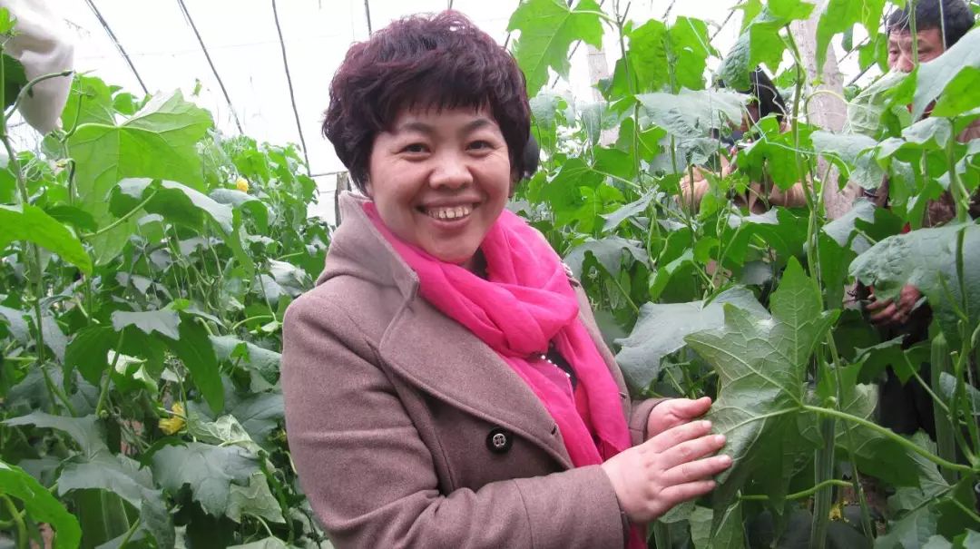 刘春香在工作中