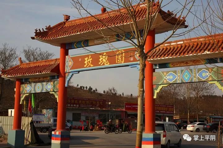 身边走近玫瑰镇老周家的花田喜事