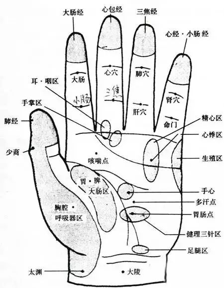 手部经络走向图片