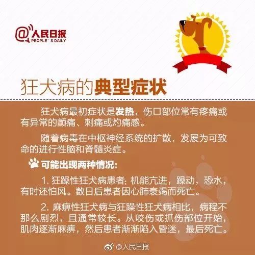 小男孩狂犬病发作学狗叫只能绑在家里速看真相