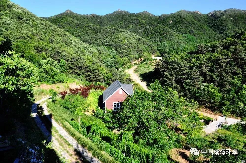 秀木成林绿满眼多彩环翠美如画