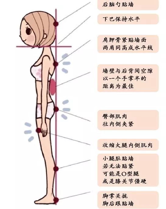 每天坚持靠墙站2个月后身体竟然变这样