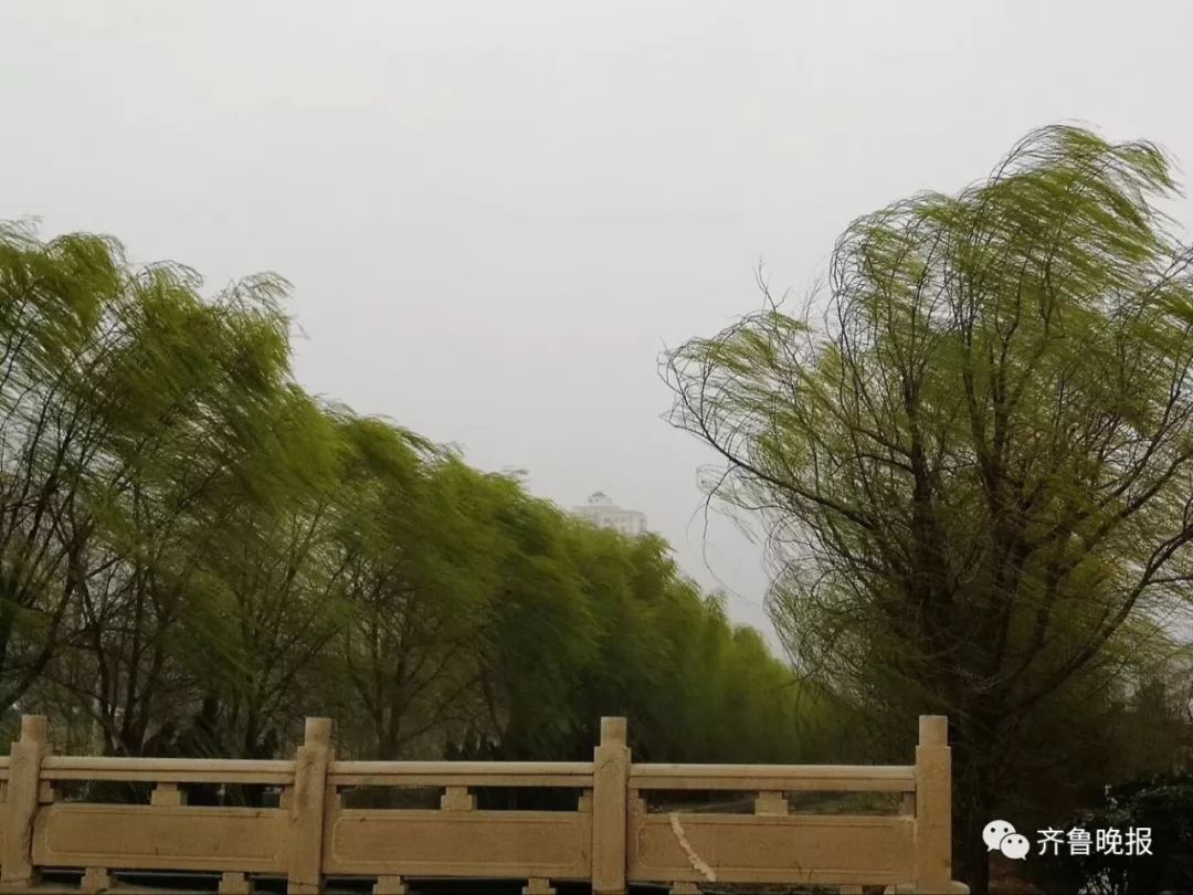 妖风四起一夜暴跌20升温很草率降温很鲁莽