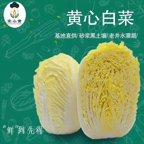 帮第一书记支招王玉峰德邦门窗宋小黄白菜开启扶贫双保险