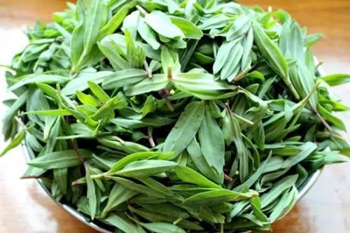 山苜楂包子今天,小编就给大家介绍几种在威海比较经典的野菜包子,教