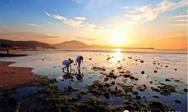 休渔封海还能吃到新鲜海鲜吗奉上赶海攻略逮这些也能解馋