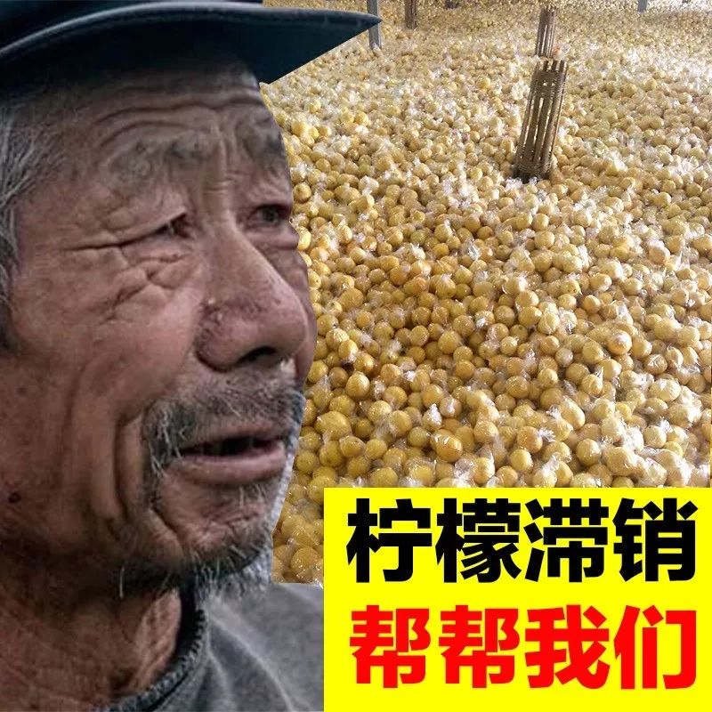某宝网第一网红大爷你咋回事为啥卖啥啥滞销呢╮╯o╰╭