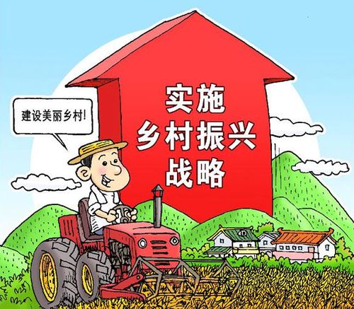 在乡村振兴的道路上最美青年闪耀着新时代青春的光彩