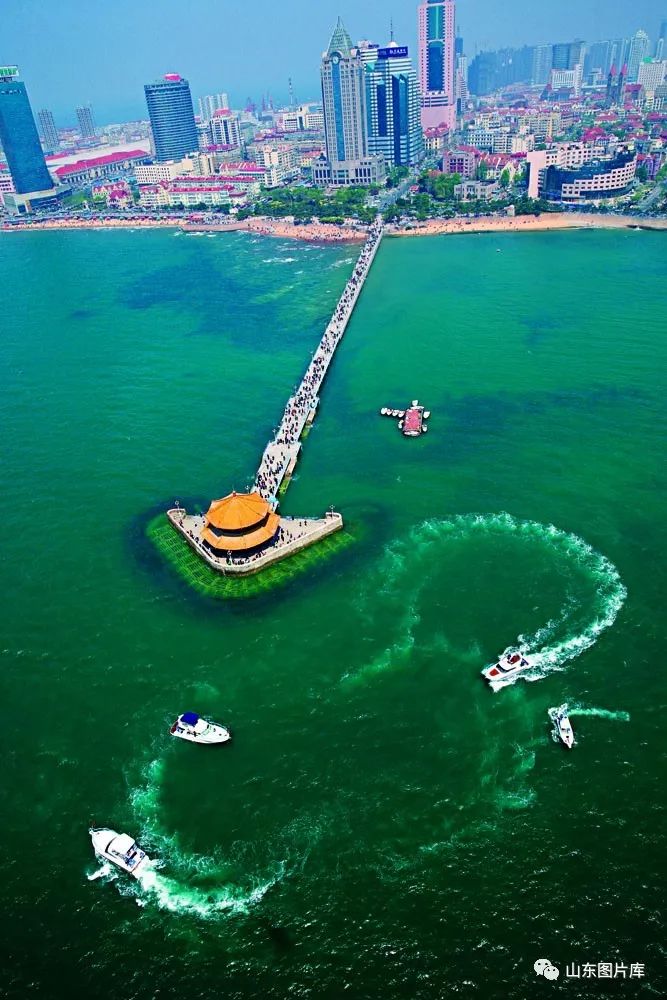 图说山东丨栈桥把青岛的梦延伸到大海