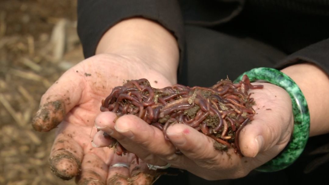 她明明可以生活在云端却偏偏选择面朝黄土背朝天