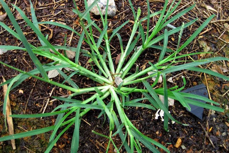 还不赶紧拔草去!